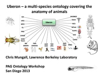 Uberon – a multi-species ontology covering the
            anatomy of animals




Chris Mungall, Lawrence Berkeley Laboratory

PAG Ontology Workshop
San Diego 2013
 