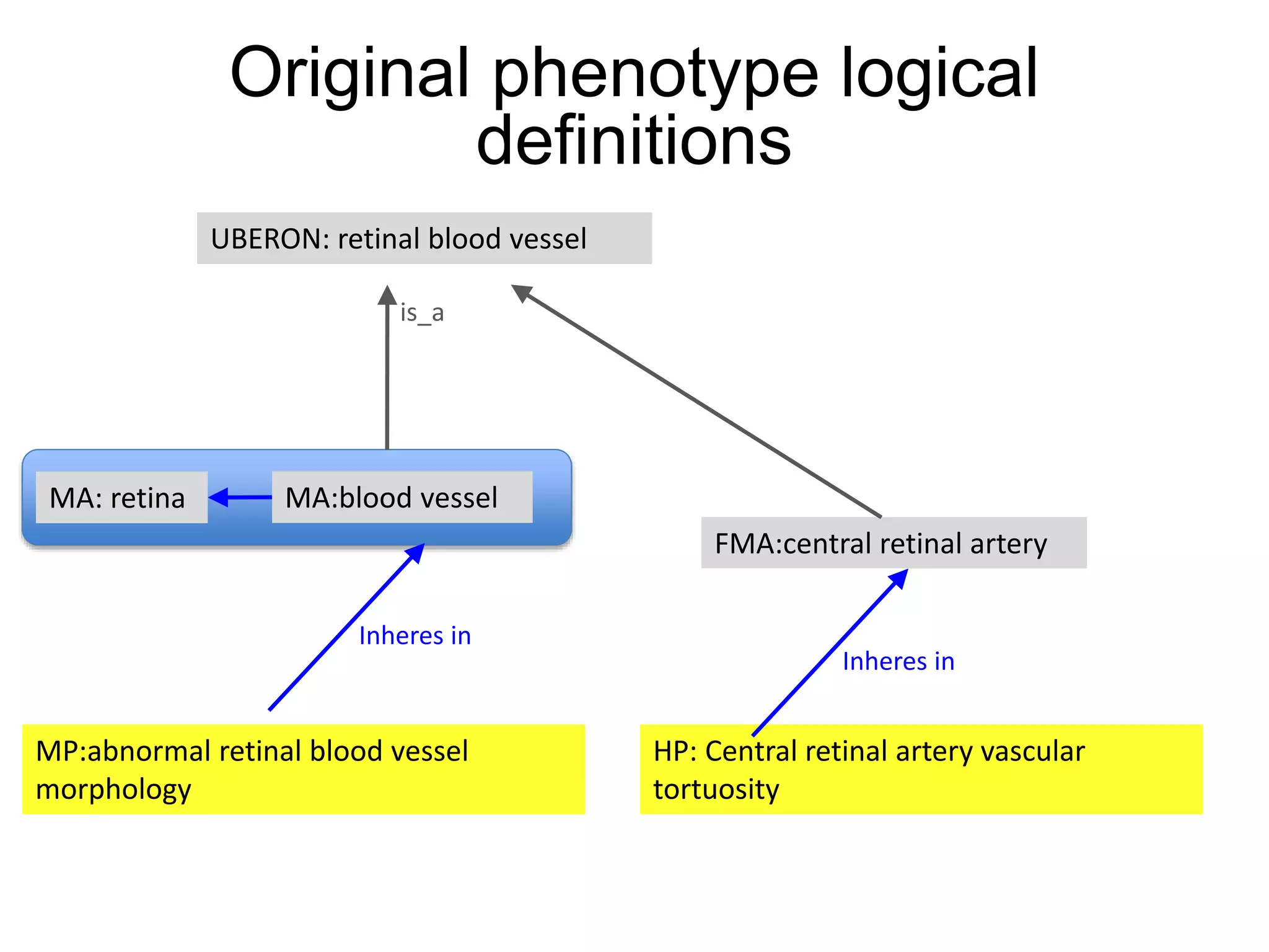 MA:blood vessel
UBERON: retinal blood vessel
MP:abnormal retinal blood vessel
morphology
Inheres in
is_a
MA: retina
HP: Central retinal artery vascular
tortuosity
FMA:central retinal artery
Inheres in
Original phenotype logical
definitions
 