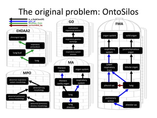 lung
lung
respiratory gaseous
exchange
lobular organ
parenchymatous
organ
solid organ
pleural sac
thoracic
cavity organ
thoracic
cavity
multicellular
organismal process
abnormal lung
morphology
abnormal respiratory
system morphology
GO
MPO
MA
FMA
abnormal pulmonary
acinus morphology
abnormal pulmonary
alveolus morphology
lung
alveolus
respiratory system
process
organ system
respiratory
system
Lower
respiratory
tract
alveolar sac
pulmonary
acinus
organ system
respiratory
system
EHDAA2
lung
lung bud
respiratory
primordium
pharyngeal region
develops_from
part_of
is_a (SubClassOf)
surrounded_by
The original problem: OntoSilos
 