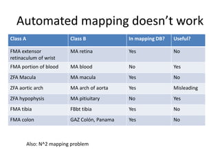 Automated mapping doesn’t work
Class A Class B In mapping DB? Useful?
FMA extensor
retinaculum of wrist
MA retina Yes No
FMA portion of blood MA blood No Yes
ZFA Macula MA macula Yes No
ZFA aortic arch MA arch of aorta Yes Misleading
ZFA hypophysis MA pitiuitary No Yes
FMA tibia FBbt tibia Yes No
FMA colon GAZ Colón, Panama Yes No
Also: N^2 mapping problem
 