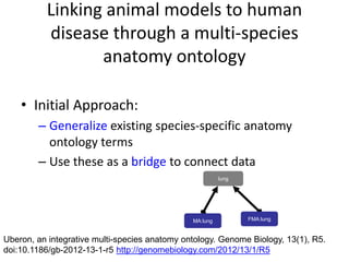 Linking animal models to human
disease through a multi-species
anatomy ontology
• Initial Approach:
– Generalize existing species-specific anatomy
ontology terms
– Use these as a bridge to connect data
Uberon, an integrative multi-species anatomy ontology. Genome Biology, 13(1), R5.
doi:10.1186/gb-2012-13-1-r5 http://genomebiology.com/2012/13/1/R5
lung
FMA:lungMA:lung
 