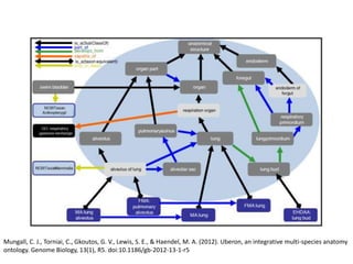 Mungall, C. J., Torniai, C., Gkoutos, G. V., Lewis, S. E., & Haendel, M. A. (2012). Uberon, an integrative multi-species anatomy
ontology. Genome Biology, 13(1), R5. doi:10.1186/gb-2012-13-1-r5
 