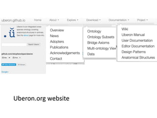 Uberon.org website
 
