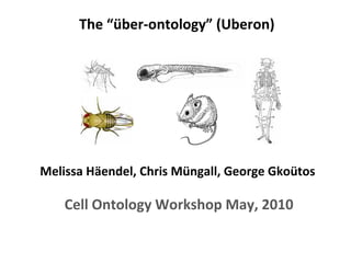The “über-ontology” (Uberon)
Melissa Häendel, Chris Müngall, George Gkoütos
Cell Ontology Workshop May, 2010
 
