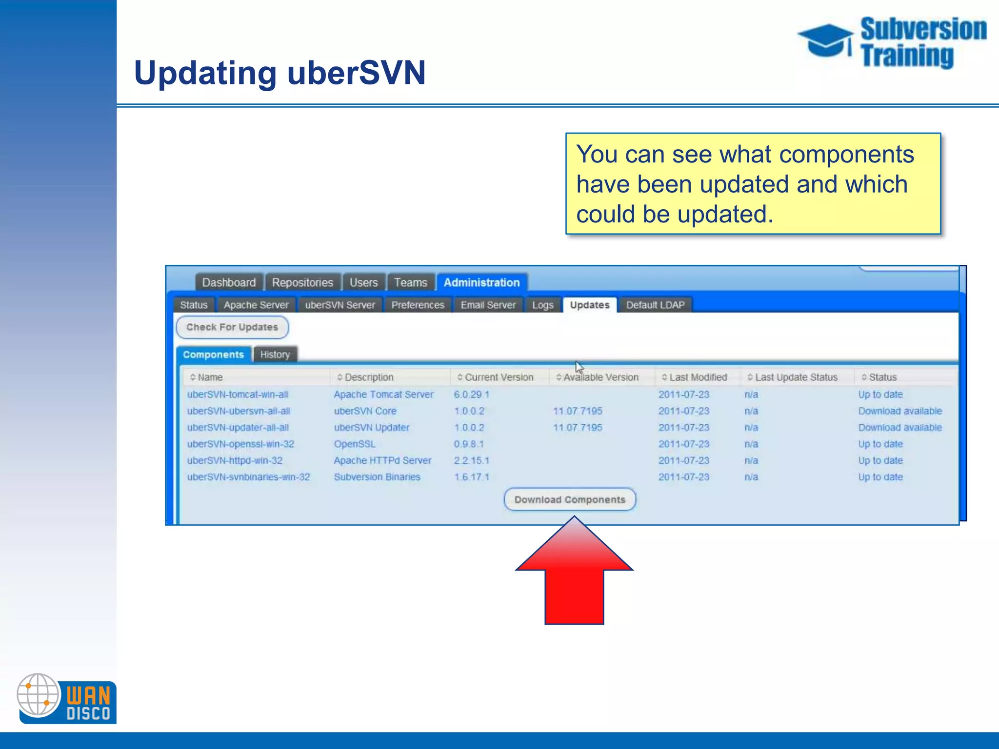 Looking at past revisionsor