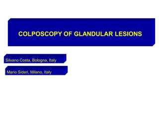 COLPOSCOPY OF GLANDULAR LESIONS
Silvano Costa, Bologna, Italy
Mario Sideri, Milano, Italy
 