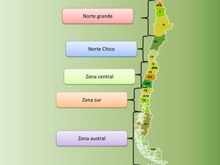 Norte grande
Norte Chico
Zona central
Zona sur
Zona austral