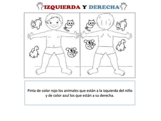 Pinta de color rojo los animales que están a la izquierda del niño
y de color azul los que están a su derecha.
 