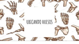 UBICANDO HUESOS
 