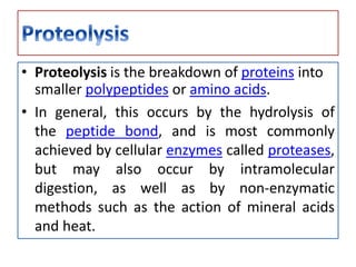 • Proteolysis is the breakdown of proteins into
smaller polypeptides or amino acids.
• In general, this occurs by the hydrolysis of
the peptide bond, and is most commonly
achieved by cellular enzymes called proteases,
but may also occur by intramolecular
digestion, as well as by non-enzymatic
methods such as the action of mineral acids
and heat.
 