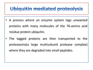 • A process where an enzyme system tags unwanted
proteins with many molecules of the 76-amino acid
residue protein ubiquitin.
• The tagged proteins are then transported to the
proteasome(a large multisubunit protease complex)
where they are degraded into small peptides.
 
