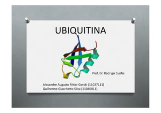 UBIQUITINA	
  	
  


                                             Prof.	
  Dr.	
  Rodrigo	
  Cunha	
  


Alexandre	
  Augusto	
  Ri7er	
  Gorski	
  (11027111)	
  
Guilherme	
  Giacche7o	
  Silva	
  (11040011)	
  
 