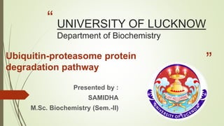 “
”
UNIVERSITY OF LUCKNOW
Department of Biochemistry
Ubiquitin-proteasome protein
degradation pathway
Presented by :
SAMIDHA
M.Sc. Biochemistry (Sem.-II)
 