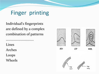 Finger  printing Individual’s fingerprints are defined by a complex combination of patterns .............................. Lines Arches  Loops Whorls  