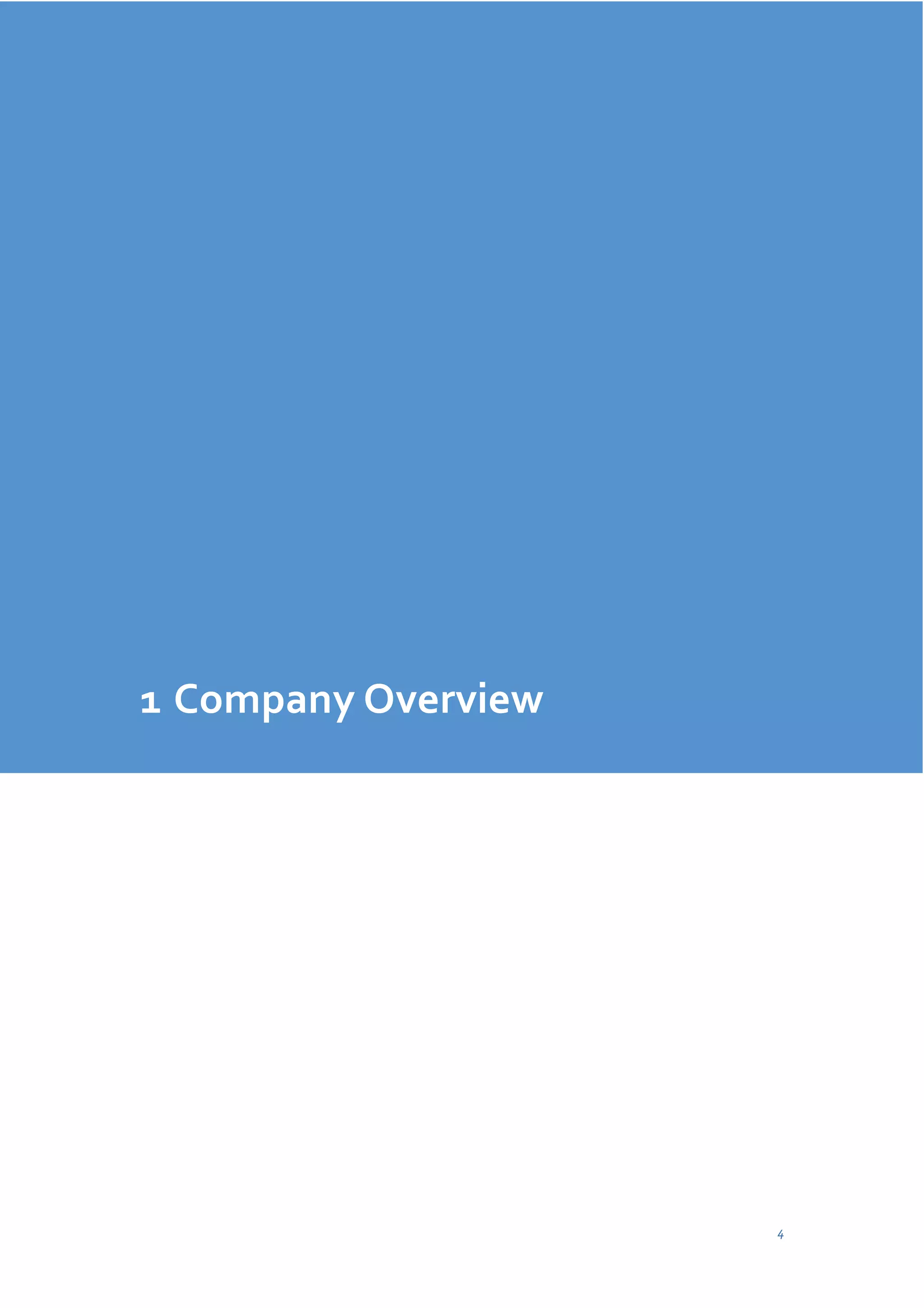 1 Company Overview

4

 