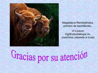 Magdalena Rembielińska,
primero de bachillerato,
VI Liceum
Ogólnokształcące im.
Joachima Lelewela w Łodzi
 