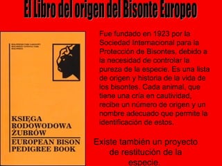 Fue fundado en 1923 por la
Sociedad Internacional para la
Protección de Bisontes, debido a
la necesidad de controlar la
pureza de la especie. Es una lista
de origen y historia de la vida de
los bisontes. Cada animal, que
tiene una cría en cautividad,
recibe un número de origen y un
nombre adecuado que permite la
identificación de estos.
Existe también un proyecto
de restitución de la
especie.
 