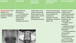 z
DIESEASE ORGANISM ROUTE OF
INFECTION
PREDISPOSING
FACTORS
ROLE OF IMAGING
Tuberculosis of the
bladder is an
uncommon bladder
disease in Western
countries.
Mycobacterium
tuberculosis
or less often from
Bacillus Calmette-
Guerin (BCG)
treatment for
urothelial carcinoma
Tuberculosis of the
urinary tract almost
always begins in the
upper tracts, with the
bladder being
secondarily involved.
Immunocompromised
patients with acquired
immunodeficiency
syndrome or
recipients of organ
transplants are also at
higher risk
Irregular mucosal
masses due to
coalescing tubercles
with ulceration and
edema, diffuse wall
thickening, and
trabeculation
Irregular mural
thickening
Ureteral strictures
and thickening with
obstruction,
Fixed and patulous
vesicoureteric
junction =>
Vesicoureteric reflux.
In the chronic
phase: thick-walled
contracted bladder
 