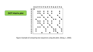 Genomics and proteomics Sequence Alignment ppt 26 4 24.pptx