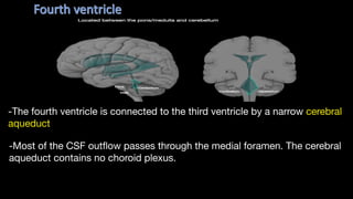 Ventricles_of_the_brain_The ventricles of the brain are a communicating ...