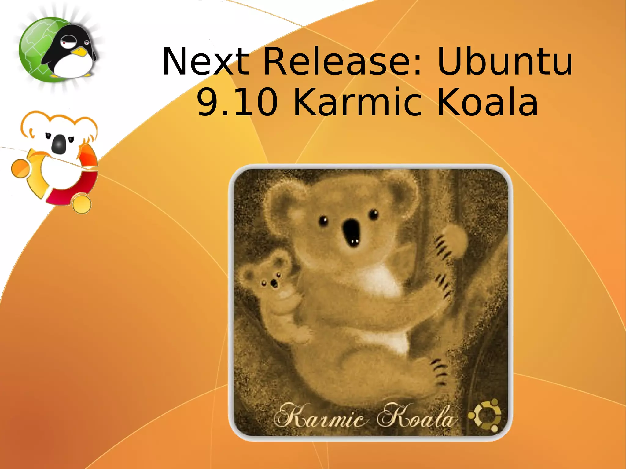 Next Release: Ubuntu
 9.10 Karmic Koala
 