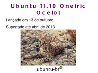 Autor do site Vida de Programador 