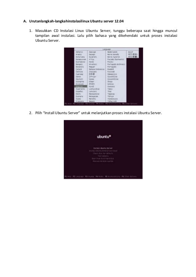 Tutorial Web Server Ubuntu | tutorial instalasi ubuntu server 12 04 setting dns server Tutorial Web Server Ubuntu | tutorial instalasi ubuntu server 12 04 setting dns server