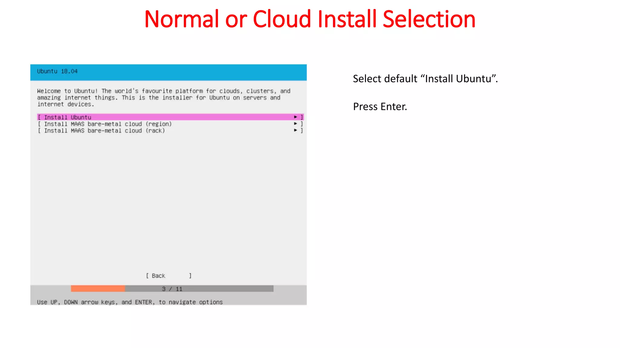 Normal or Cloud Install Selection
Select default “Install Ubuntu”.
Press Enter.
 
