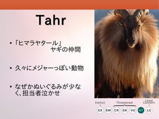 Tahr






ҥޥ䥿`롹
䥮g
á˥᥸`äݤ
ʤ̤ߤ٤

Extinct

Threatened

Least
Concern

 