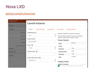 Nova LXD
github.com/lxc/nova-lxd
 