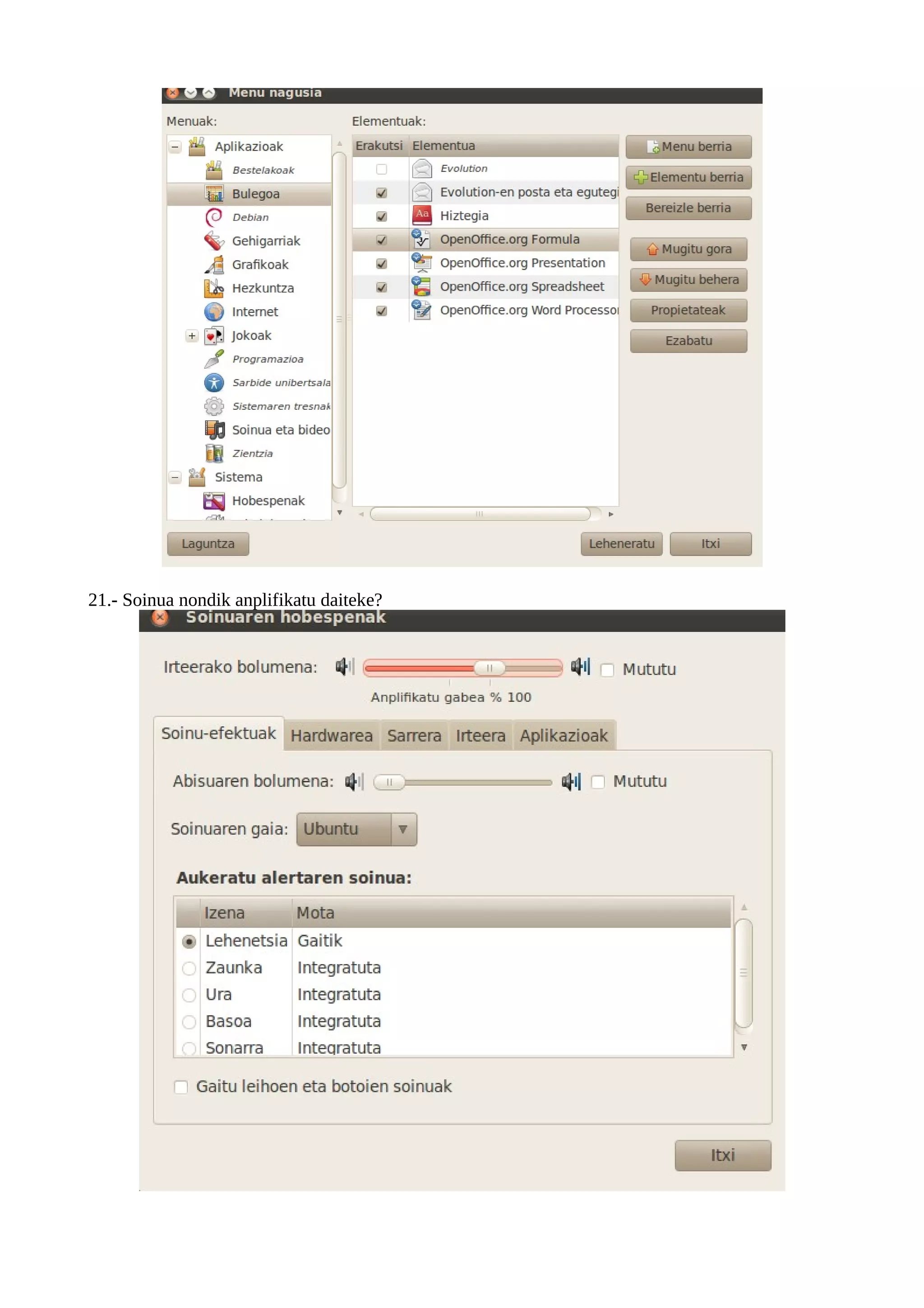 21.- Soinua nondik anplifikatu daiteke?
 