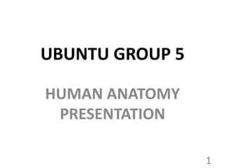 UBUNTU GROUP 5
HUMAN ANATOMY
PRESENTATION
1
 