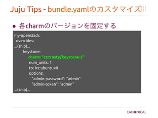 Juju Tips - bundle.yamlのカスタマイズ	
●  各charmのバージョンを固定する	
my-openstack:	
overrides:	
...(snip)...	
   keystone: 	
charm: "cs:trusty/keystone-5"	
num_units: 1	
to: lxc:ubuntu=0	
options: 	
"admin-password": "admin"	
"admin-token": "admin"	
...(snip)...	
	
 