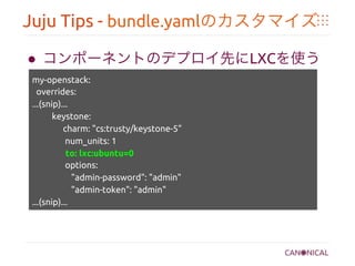 Juju Tips - bundle.yamlのカスタマイズ	
●  コンポーネントのデプロイ先にLXCを使う	
my-openstack:	
overrides:	
...(snip)...	
   keystone: 	
charm: "cs:trusty/keystone-5"	
num_units: 1	
to: lxc:ubuntu=0	
options: 	
"admin-password": "admin"	
"admin-token": "admin"	
...(snip)...	
	
 