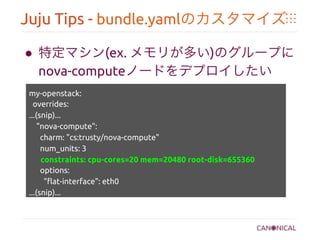 Juju Tips - bundle.yamlのカスタマイズ	
●  特定マシン(ex. メモリが多い)のグループに
nova-computeノードをデプロイしたい	
	
my-openstack:	
overrides:	
...(snip)...	
"nova-compute":	
charm: "cs:trusty/nova-compute"	
num_units: 3	
constraints: cpu-cores=20 mem=20480 root-disk=655360	
options:	
"flat-interface": eth0	
...(snip)...	
	
	
 