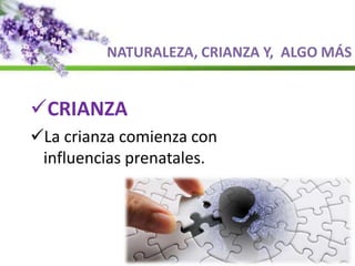 NATURALEZA, CRIANZA Y, ALGO MÁS
CRIANZA
La crianza comienza con
influencias prenatales.
 
