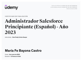 Administrador Salesforce Principiante