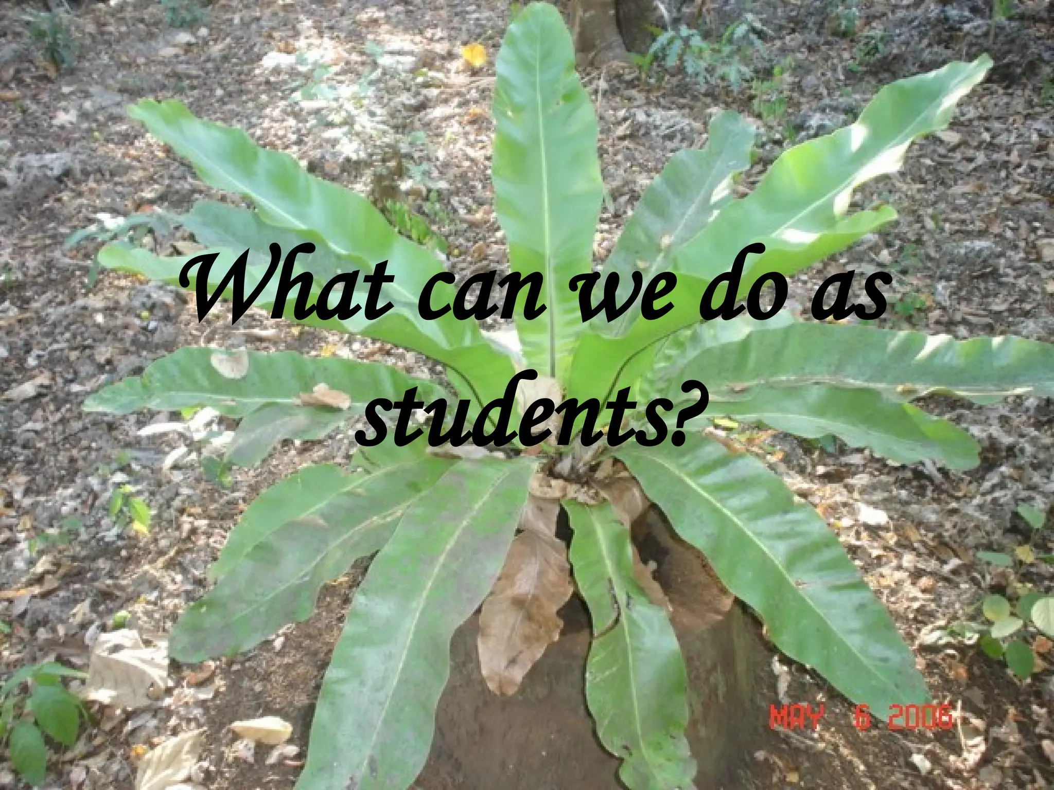 What can we do as students? 