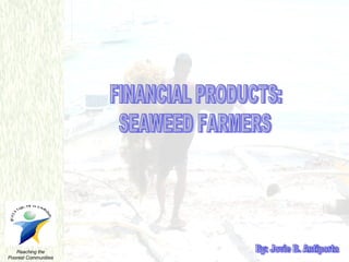 FINANCIAL PRODUCTS: SEAWEED FARMERS By: Jovie B. Antiporta 