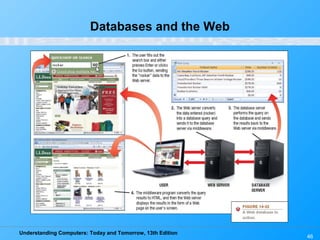 Understanding Computers: Today and Tomorrow, 13th Edition
46
Databases and the Web
 