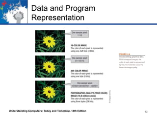 Data and Program
Representation

Understanding Computers: Today and Tomorrow, 14th Edition

12

 