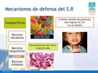 Mecanismos de defensa del S.R
Inespecíficos
Barreras
mecánicas
Barreras
bioquímicas
Barreras
celulares
A menor tamaño de partícula,
más ingresa al S.R.
>1u se exhala.
Glicoproteinas del moco
= bactericida.
 