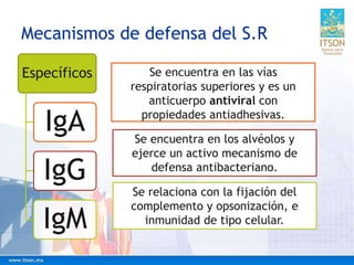 Mecanismos de defensa del S.R
Se encuentra en las vías
respiratorias superiores y es un
anticuerpo antiviral con
propiedades antiadhesivas.
Específicos
IgA
IgG
IgM
Se encuentra en los alvéolos y
ejerce un activo mecanismo de
defensa antibacteriano.
Se relaciona con la fijación del
complemento y opsonización, e
inmunidad de tipo celular.
 