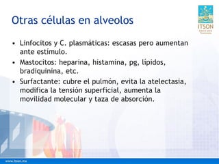 Otras células en alveolos
• Linfocitos y C. plasmáticas: escasas pero aumentan
ante estímulo.
• Mastocitos: heparina, histamina, pg, lípidos,
bradiquinina, etc.
• Surfactante: cubre el pulmón, evita la atelectasia,
modifica la tensión superficial, aumenta la
movilidad molecular y taza de absorción.
 