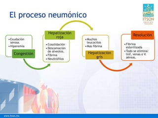 El proceso neumónico
•Exudación
serosa.
•Hiperemia
Congestión
•Cosolidación
•Descamación
de alveolos.
•Fibrina
•Neuitrófilos
Hepatización
roja •Muchos
leucocitos
•Mas fibrina
Hepatización
gris
•Fibrina
esterilizada
•Todo se elimina:
linf, venas o V.
aéreas.
Resolución
 