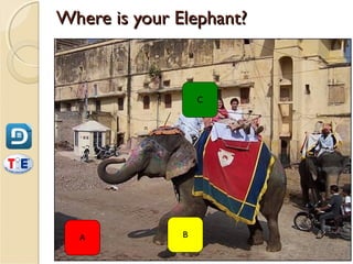 Where is your Elephant?



                   C




  A            B
 