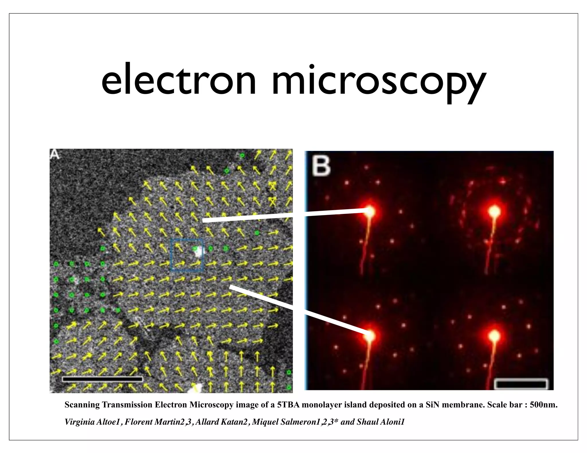 electron microscopy




Scanning Transmission Electron Microscopy image of a 5TBA monolayer island deposited on a SiN membrane. Scale bar : 500nm.
Virginia Altoe1, Florent Martin2,3, Allard Katan2, Miquel Salmeron1,2,3* and Shaul Aloni1
 