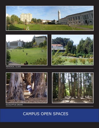 MEMORIAL GLADE




EUCALYPTUS GROVE




                   CAMPUS OPEN SPACES
 