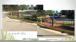 June 29, 2016
September 7, 2016After 2 Treatments
 