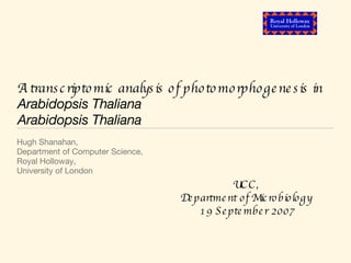 A transcriptomic analysis of photomorphogenesis in  Arabidopsis Thaliana Arabidopsis Thaliana ,[object Object],[object Object],[object Object],[object Object],UCC,  Department of Microbiology  19 September 2007 